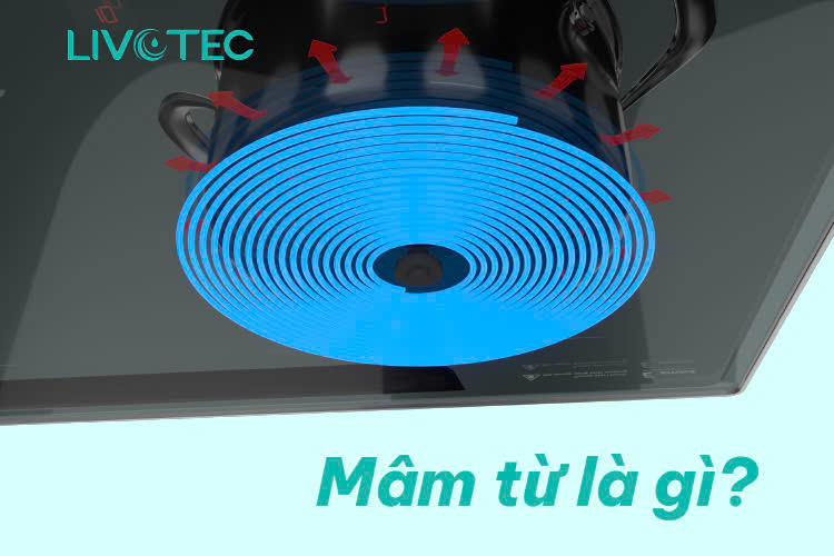 Mâm từ là gì? Mâm từ nào tốt nhất hiện nay?