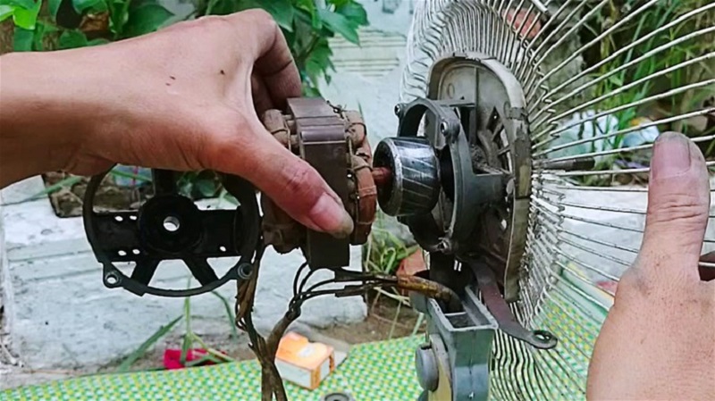 Cầu chì quạt cây hỏng