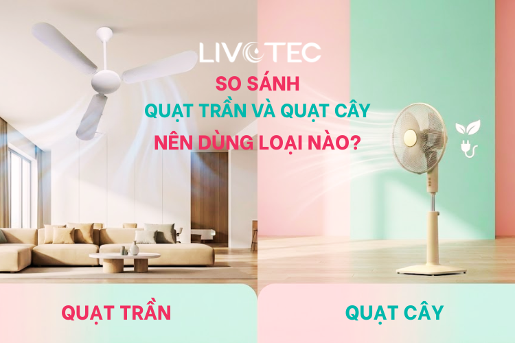 So sánh đánh giá quạt trần và quạt cây? Nên dùng loại nào?