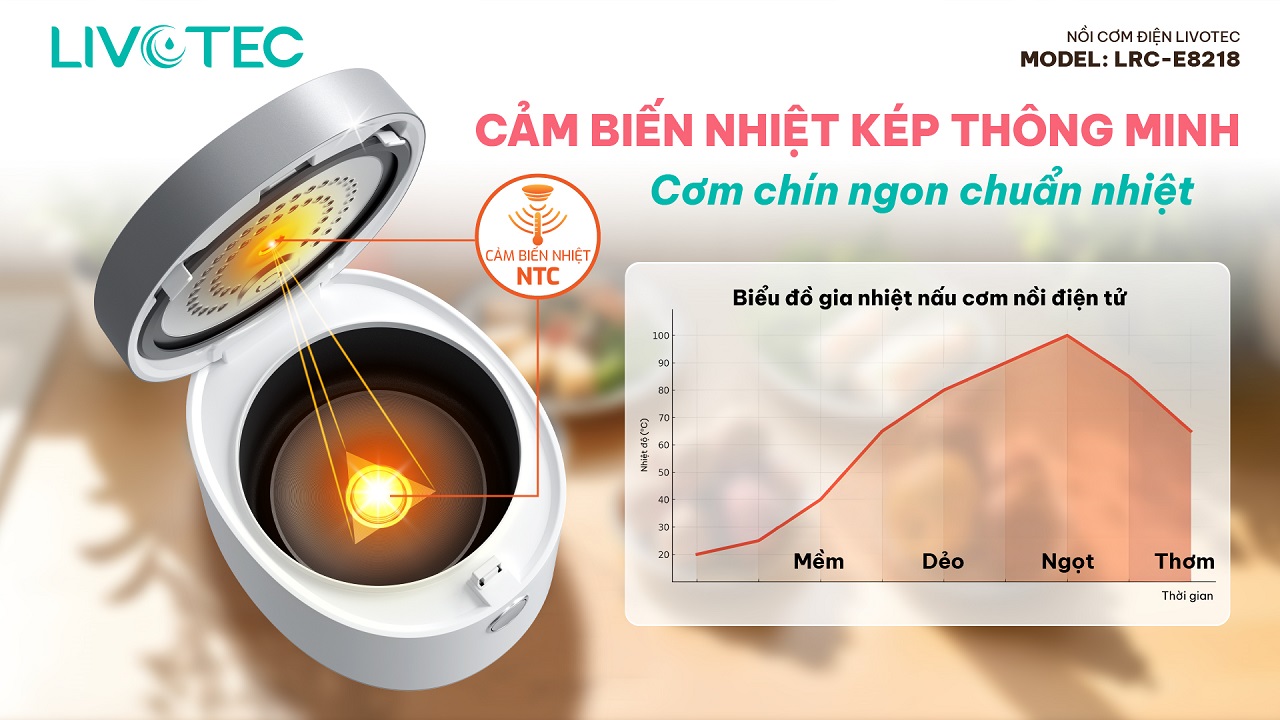 Livotec LRC-E8218 kiểm soát nhiệt kép NTC chuẩn nhiệt