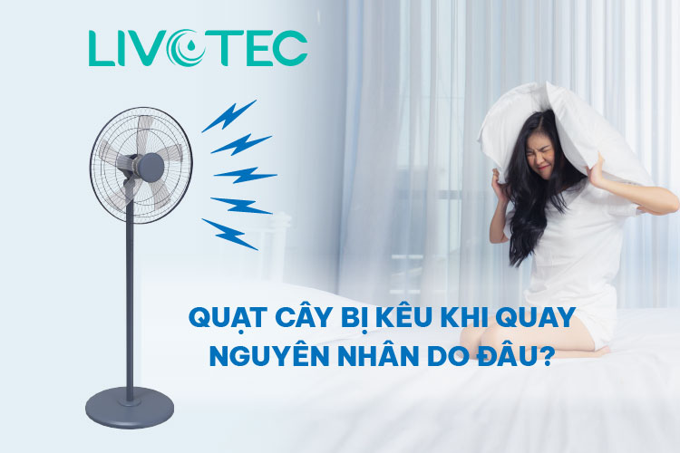 Nguyên nhân quạt cây bị kêu khi quay