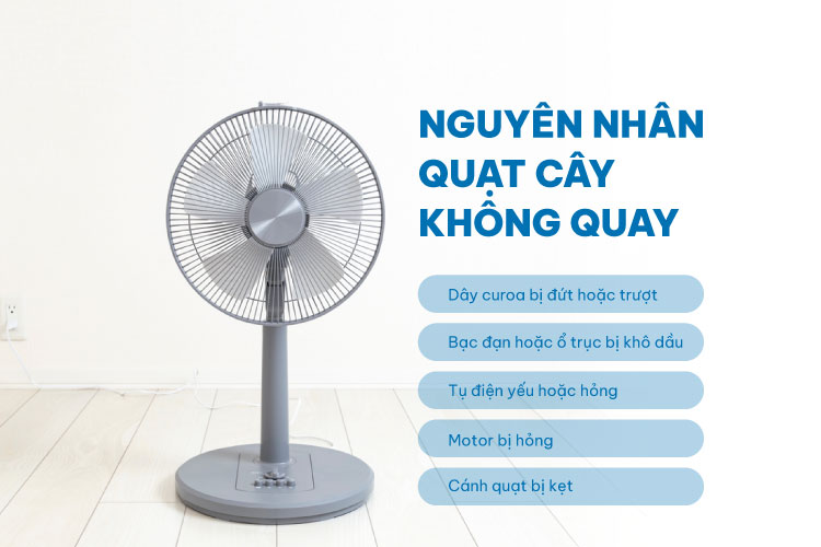 Nguyên nhân quạt cây không quay