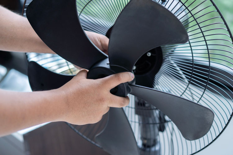 Sửa quạt cây tại nhà