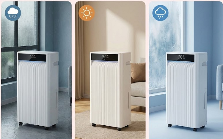 So sánh hiệu quả của máy hút ẩm ở các điều kiện thời tiết khác nhau