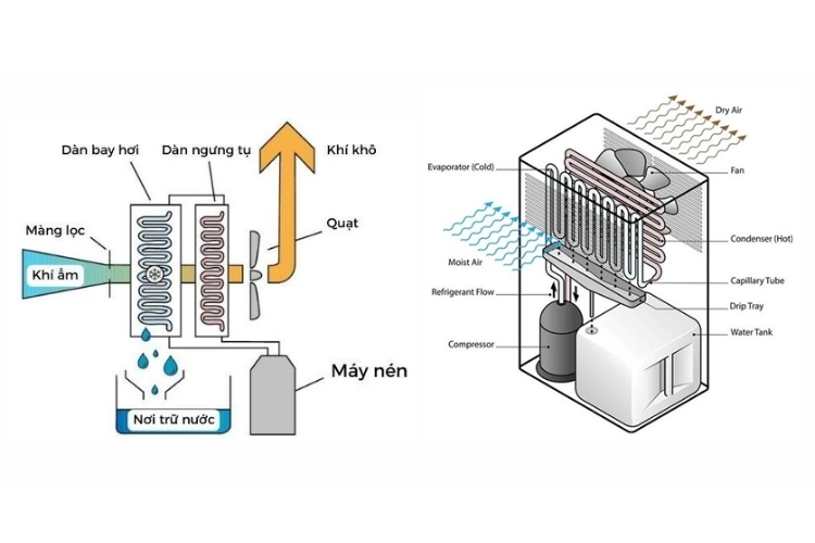 Cấu tạo máy hút ẩm ngưng tụ