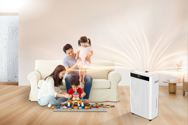 Lợi ích của việc dùng máy hút ẩm đúng cách