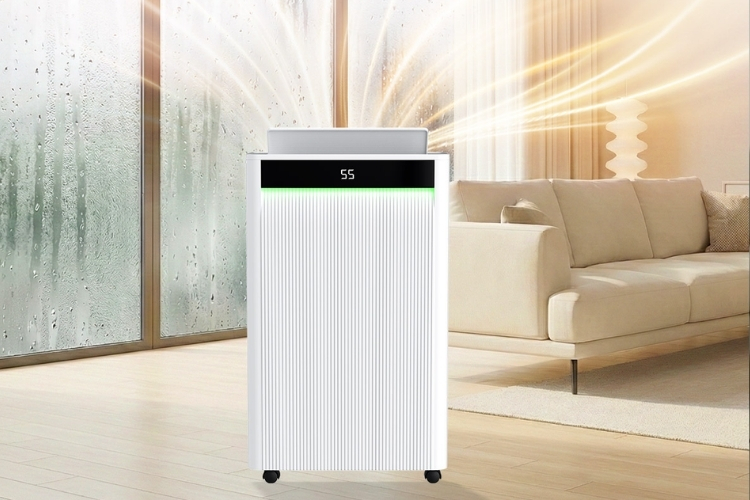 Máy hút ẩm Livotec với những ưu điểm vượt trội